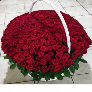 501 красная роза, букет в корзине R941